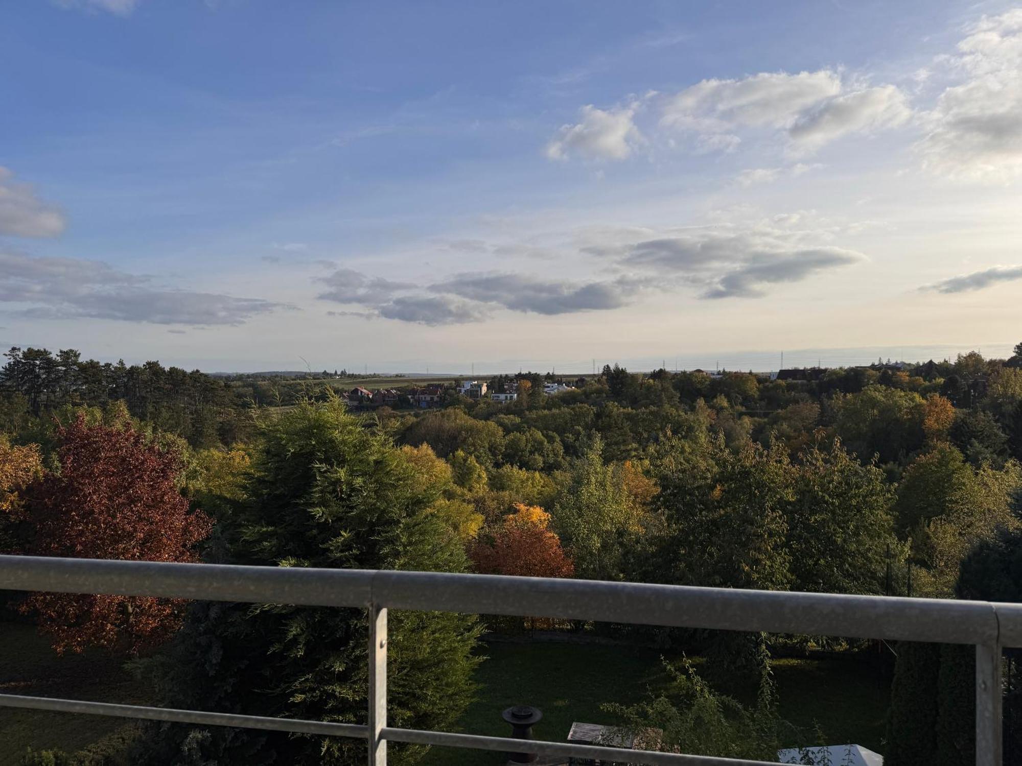 Diamondvilla, 4 Bedroom Apartment, Garden & Spa Прага Экстерьер фото
